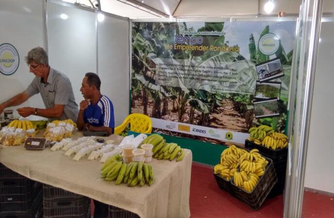 Apoio ao Bananicultor e ao Abacaxicultor