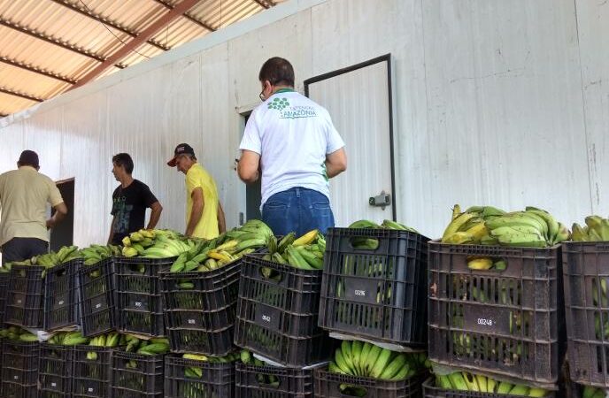 Tempo de Empreender Rondônia – Da Produção à Comercialização