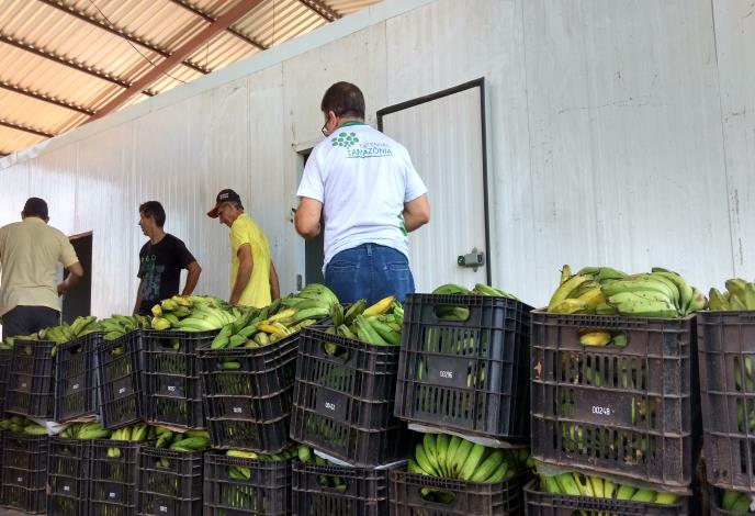 Tempo de Empreender Rondônia – Da Produção à Comercialização